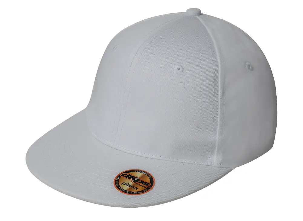 GORRA DKPS  PLANA 270